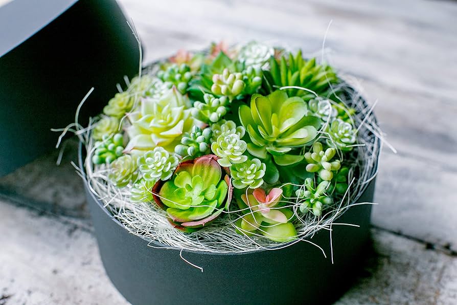 フェイク　多肉植物 1.jpg